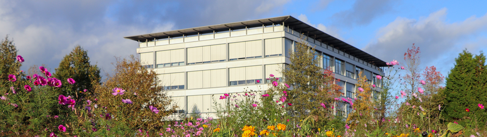 Das Gebäude von Nordfrost